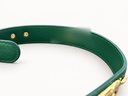 Lion belt - green (branding blurred)